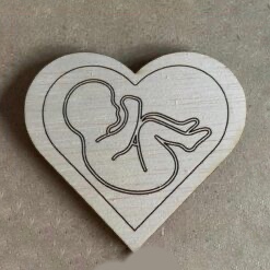 foetus-hart-uitgesneden-247x247