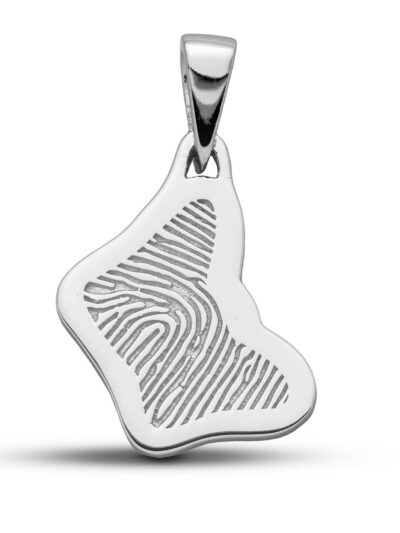 LFP 08-185 Hanger met fingerprint